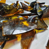 Culto