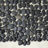 Sỏi