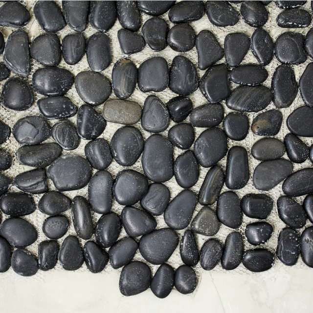 Seixo